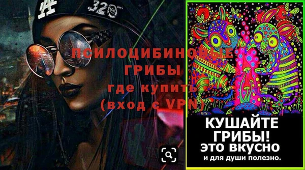 эйфоретик Алзамай