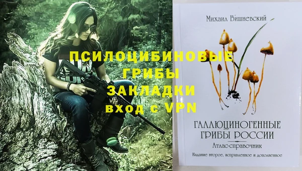 эйфоретик Алзамай