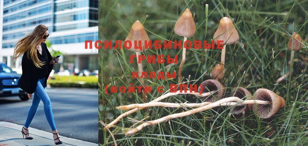 эйфоретик Алзамай