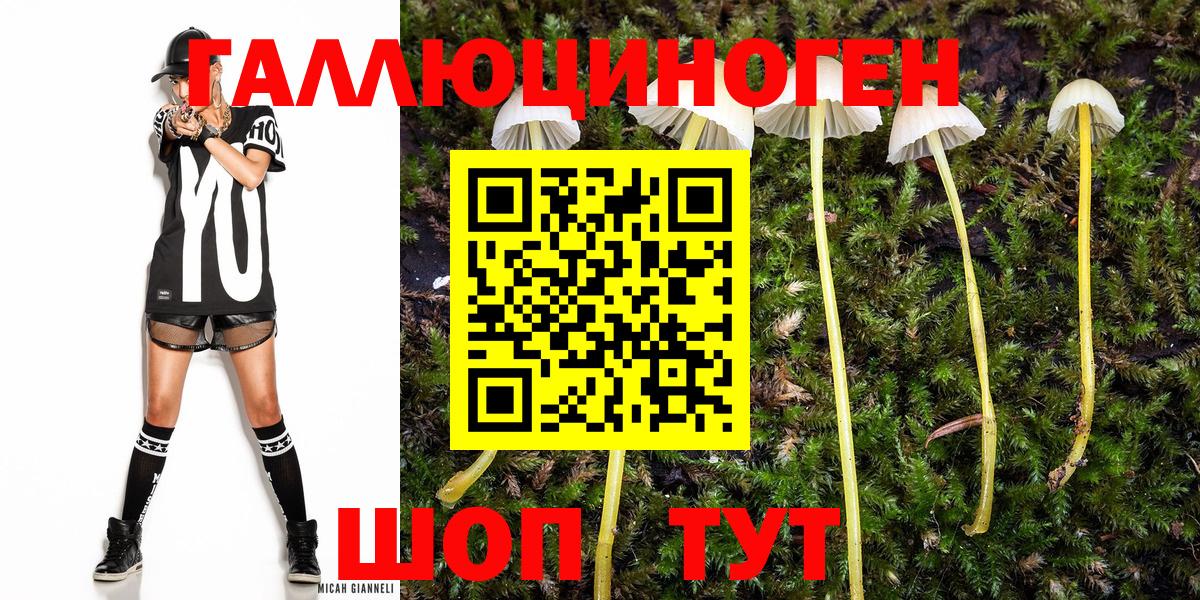 Галлюциногенные грибы мицелий  как найти закладки  Карпинск  Вход с VPN 
